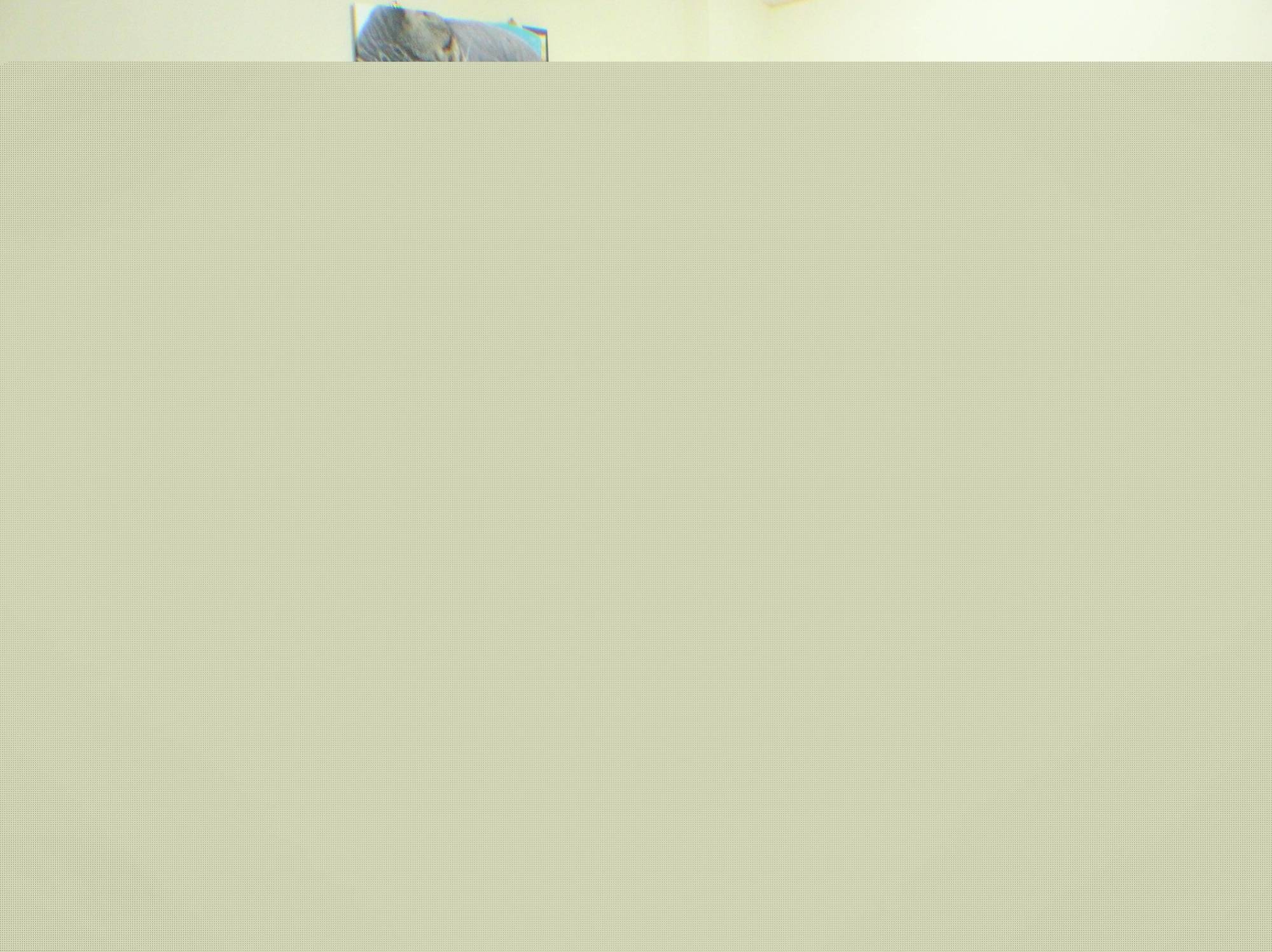 東港 ドリーム ウィッシュ Bed & Breakfast エクステリア 写真